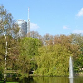 Inkasso für Kommunen: Stadt Essen nimmt sich Wiesbaden zum Vorbild